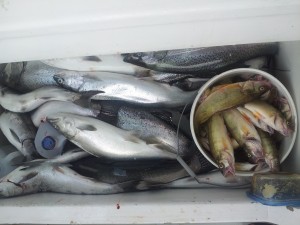 Michigan fishing charters