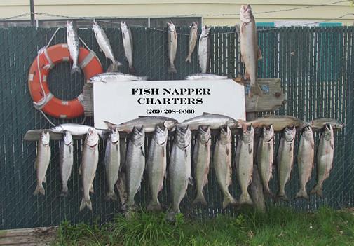 St Joseph Michigan salmon fishing